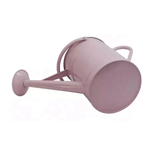 Wholesale 6L galvanized watering can garden watering pot