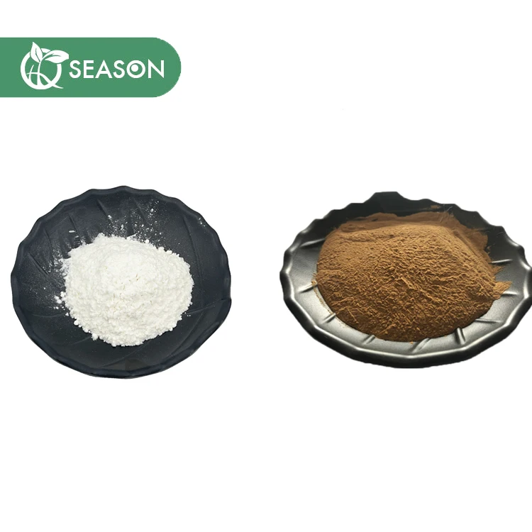 High Quality Rosemary Extract Rosmarinic acid 35% Rosmarinic acid Extract