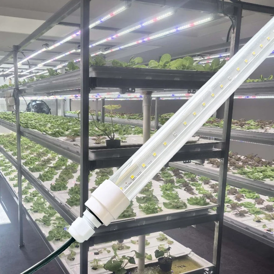 5000k t8 full spectrum led plant grow light for lettuce and pak choi plants