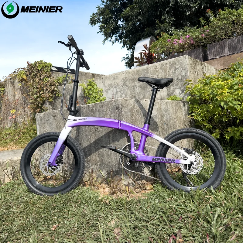 Folding Bike Full Carbon 20 Inch Foldable Bike 10-Speed Disc Brake Carbon Folding Bicycle