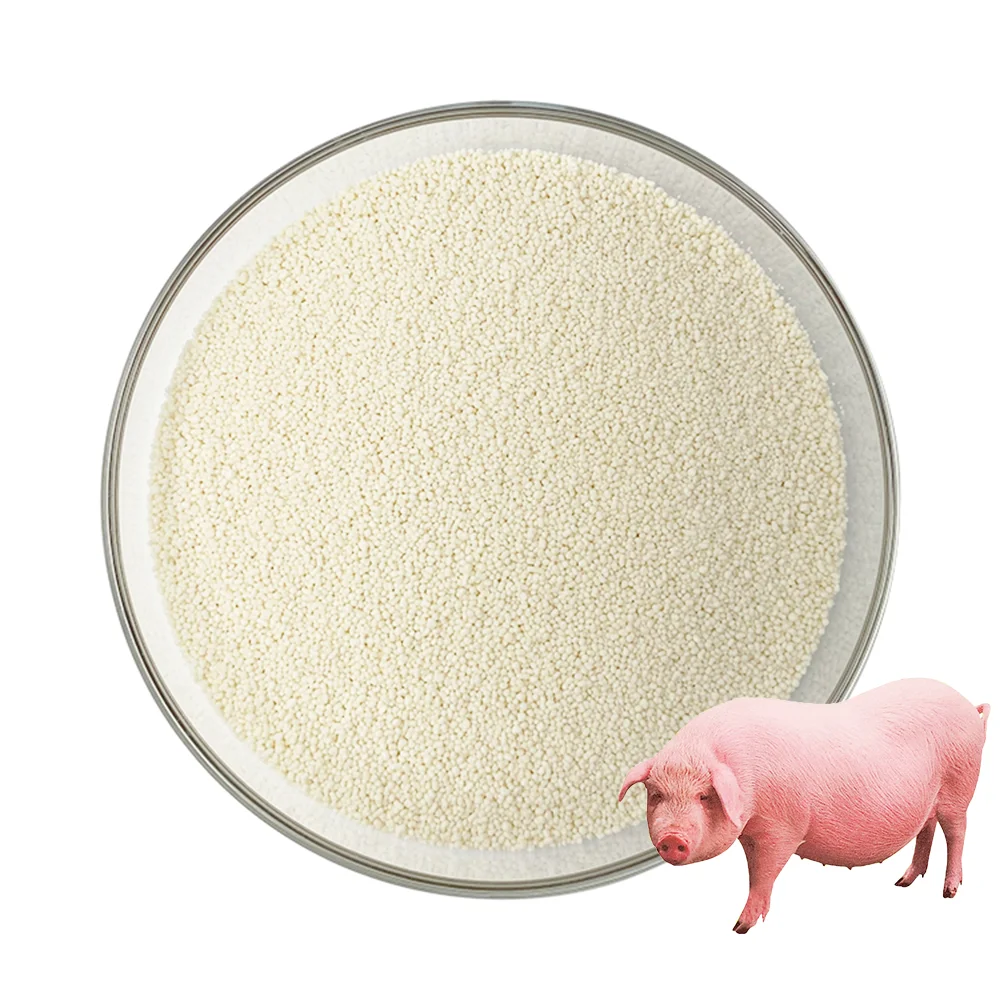 High Purity 10000 U/G Feed Enzyme Additive Animal Enzymes Power Granular Phytase