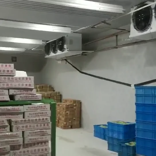 Ресторан коммерческих холодное хранение холодная комната прогулка в холодильник морозильная камера