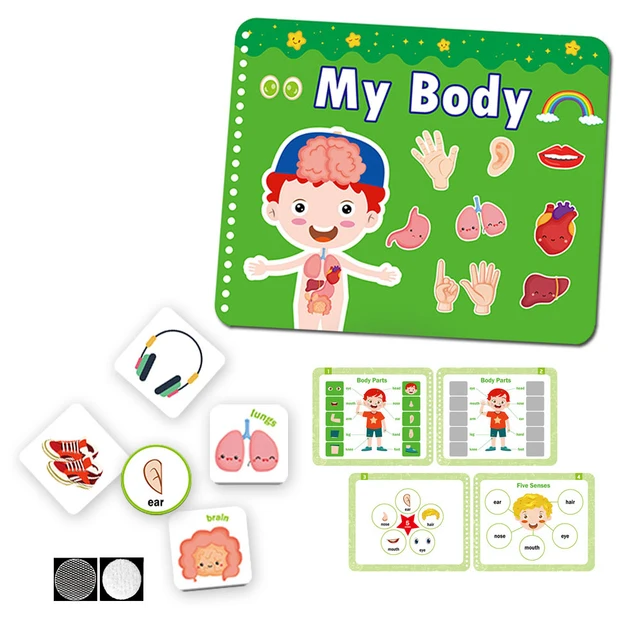 Montessori Busy Book Human Organ Cognition Paste Book Quiet Book for Kids Autism Sensory Educational Toy