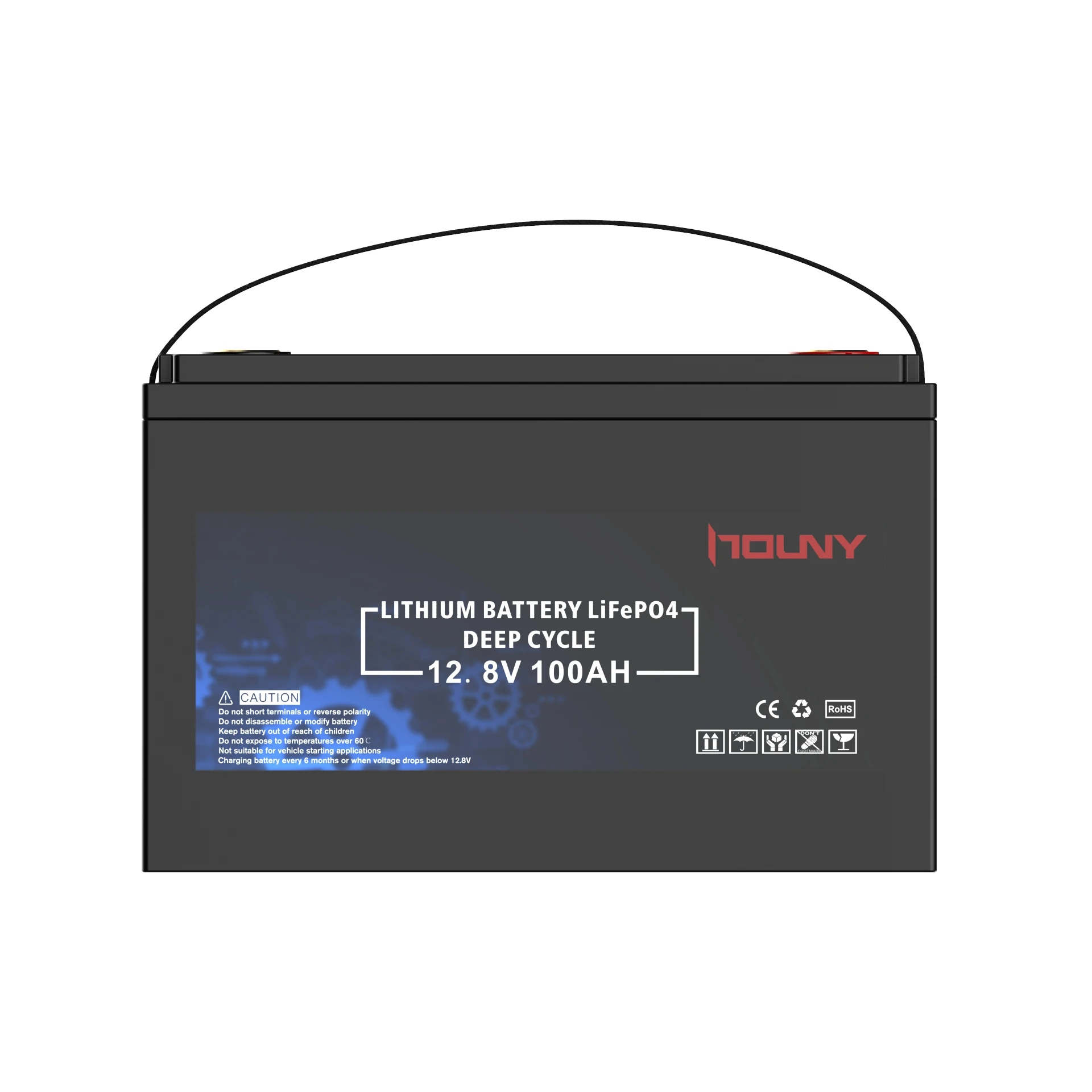 HOUNY portable high capacity 12V 24V 48V 100Ah 200Ah 300Ah lifePO4 battery pack cases lithium for golf cart RV electric scooter