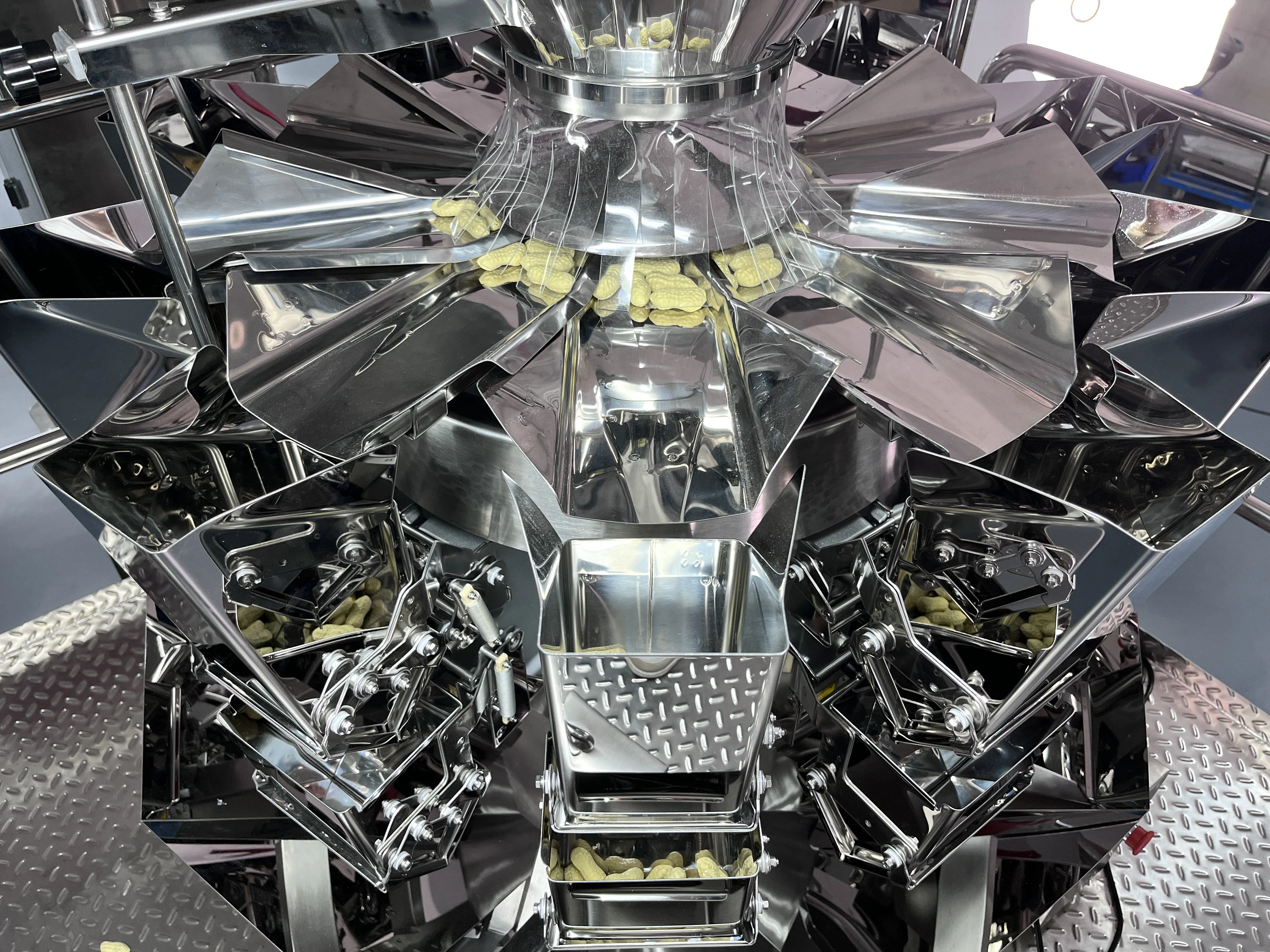 500g 1KG Automatic Weighing Pet Litter Peanut Popcorn Chips Bag Filling Packing Machine For Cat Litter Bag Packing Machine