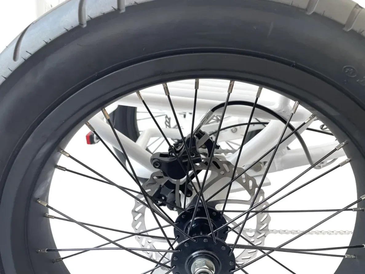 Multi-purpose differential for electric power tricycle electric bike food cart