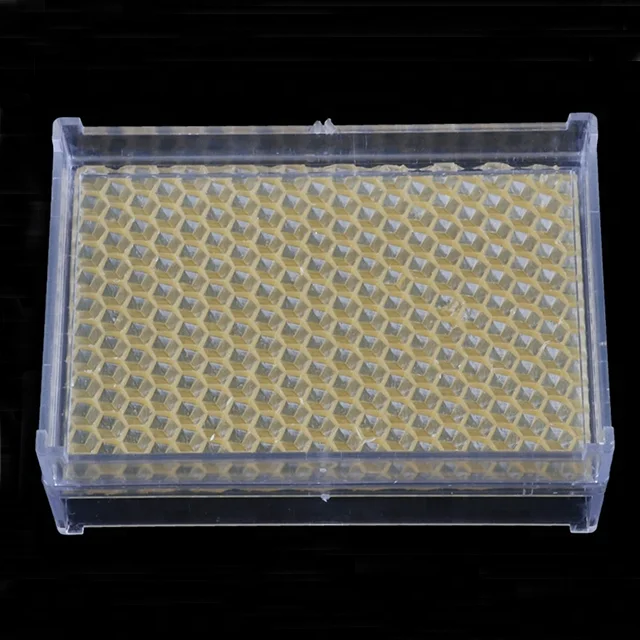 Beekeeping Tool 500g Plastic Honey Comb Box with Wax Foundation Sheet Cassette Honeycomb Box