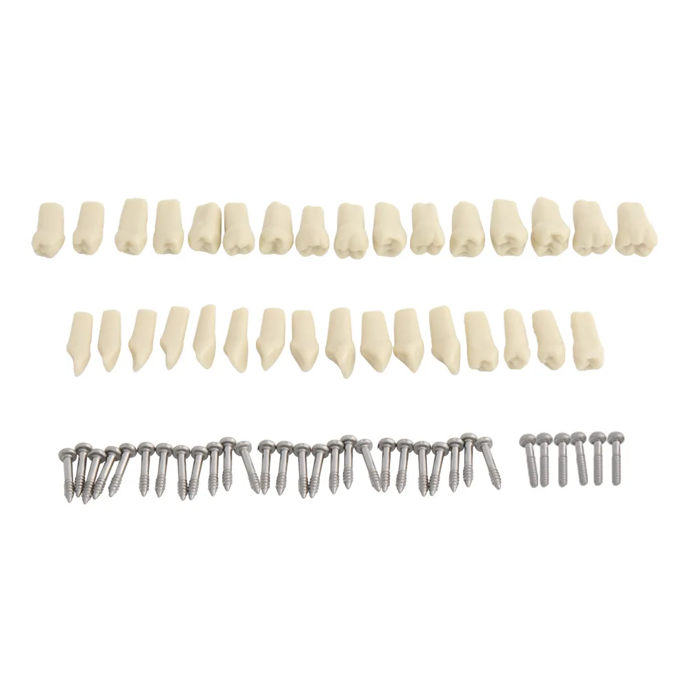 32*1 screw in replacement Frasco grey teeth for Education