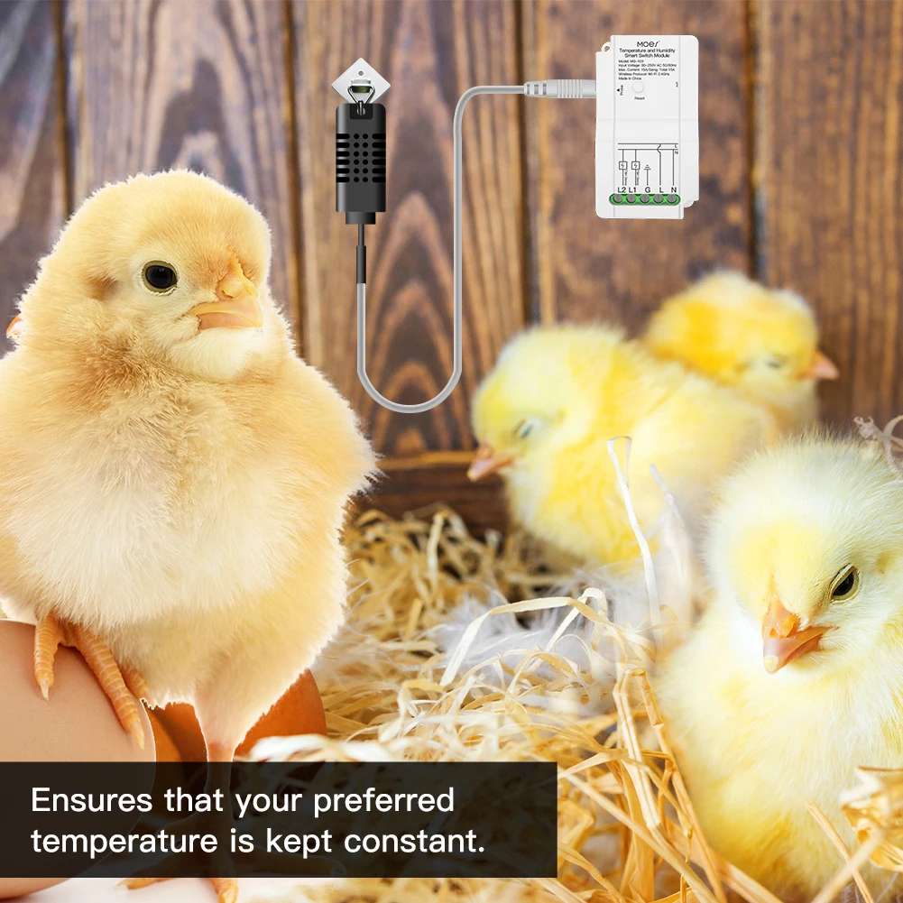 Tuya WiFi Smart Temperature Humidity Switch Module Sensor Dual way Output Relay Smart Life App Wireless Controller Alexa Google