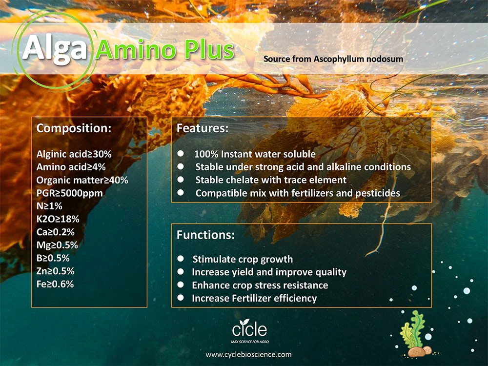 organic Fertilizer Biostimulants Alga amino plus Enhance crop stress resistance Ascophyllum Nodosum source