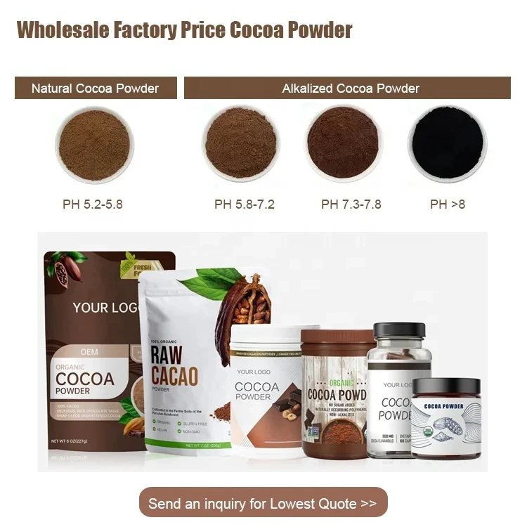 High Quality Cocoa Ingredients Alkalized Cocoa Powder 100% Natural Cocoa Powder In Low Price