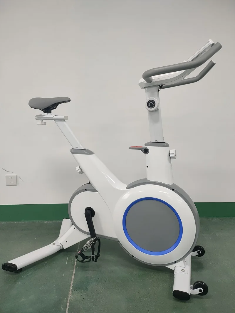 Indoor Spin Bike Exercise Cycling Bicycle Fitness Spinning Bike for Home Gym Cardio