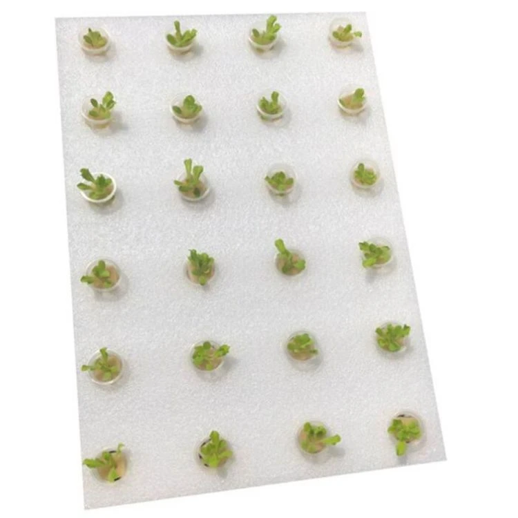 New China Manufacturer Jewlry Ring Insert Packaging Protector Foam Sponge Pearl Cotton