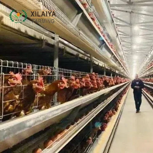 4/5/6/7/8/9 слой Батареи H-типа курятник с автоматической системой извлечения яиц