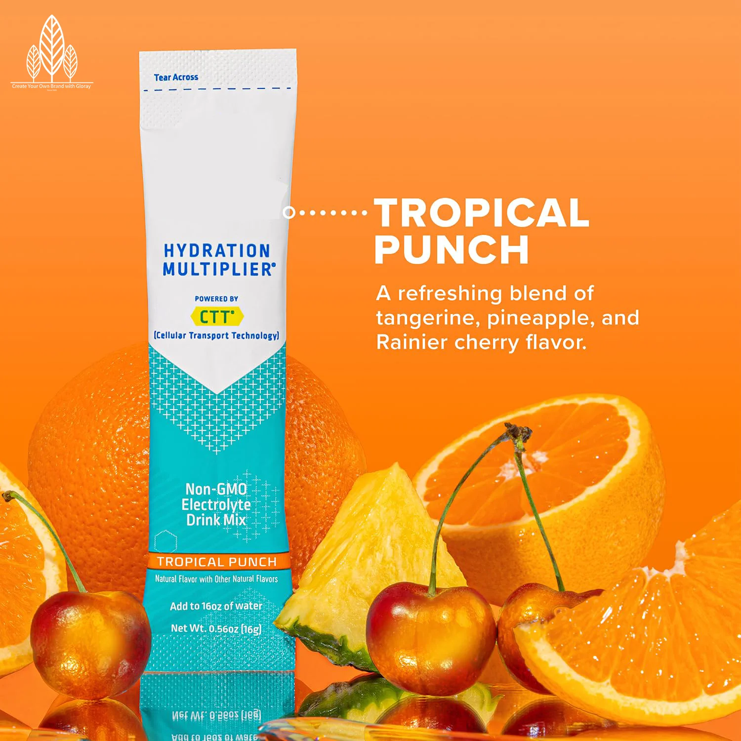 Hydration Multiplier Variety Pack 4 Flavors Lemon Lime Passion Fruit Strawberry Tropical Punch Electrolyte Drink Mix Recovery