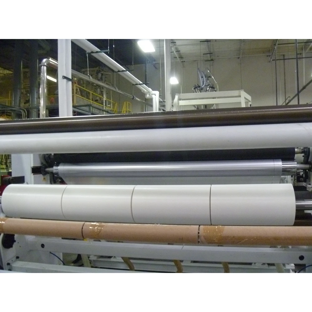 USA Double Station Hygienic Cast Extrusion Film Machine