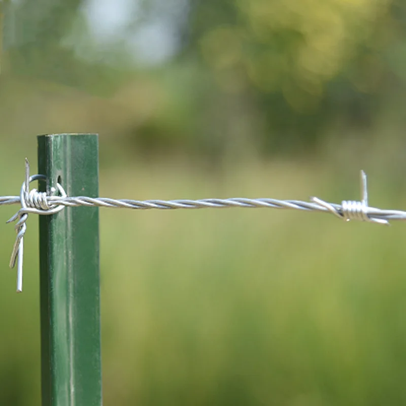Shuairunxin Galvanized Twisted Barbed Wire Fence Wire for Security Alambre De Pua to Brazil for Farm and Sport Fencing and Wall