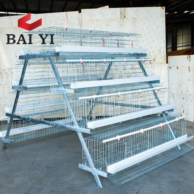 Cage De La Poule Pondeuse