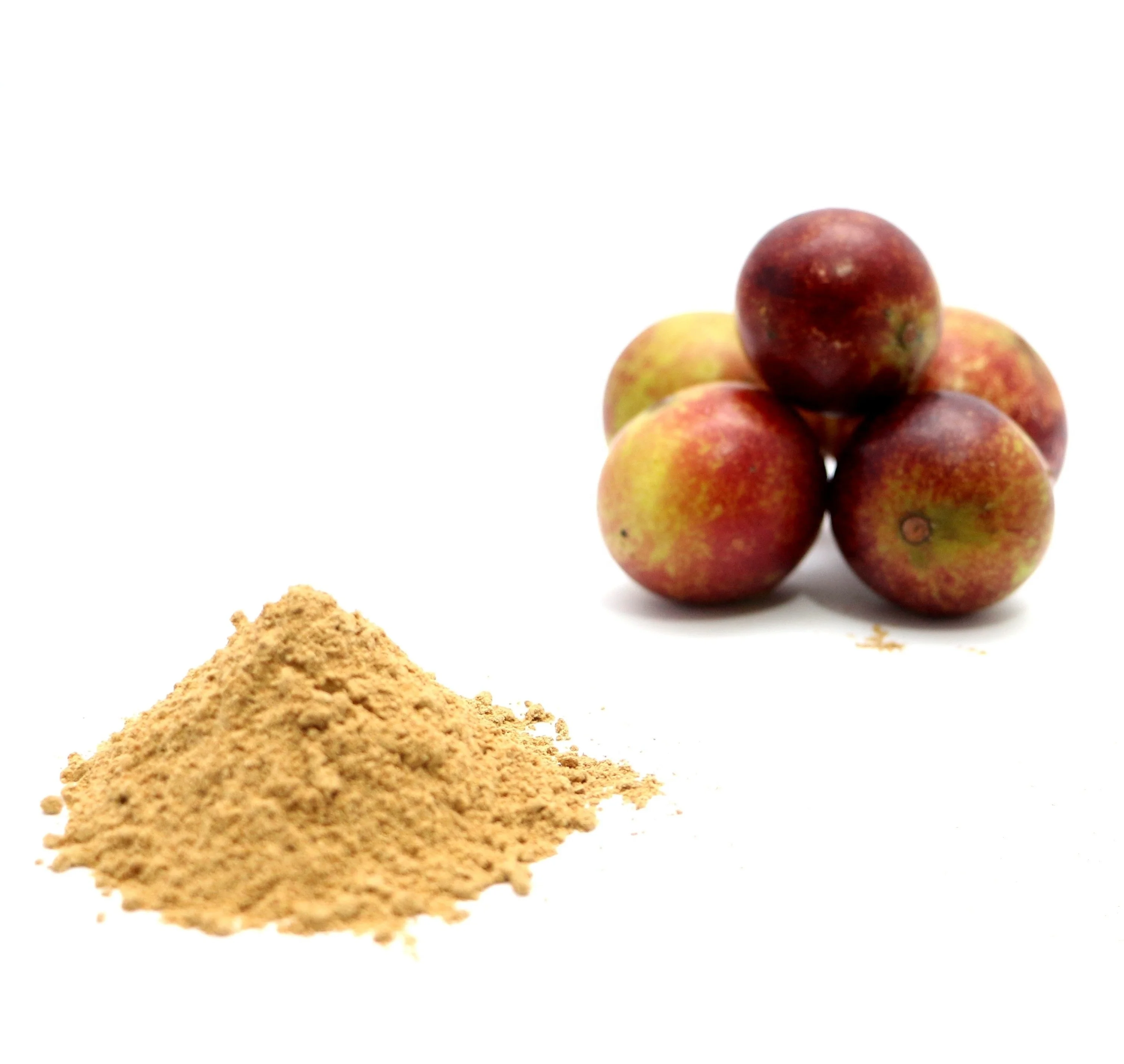 High Quality Organic Camu Camu PULP Powder From Peru