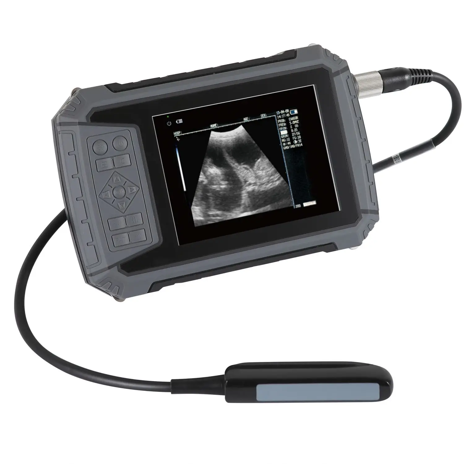 Waterproof Veterinary Ultrasound Scanner For animal Use