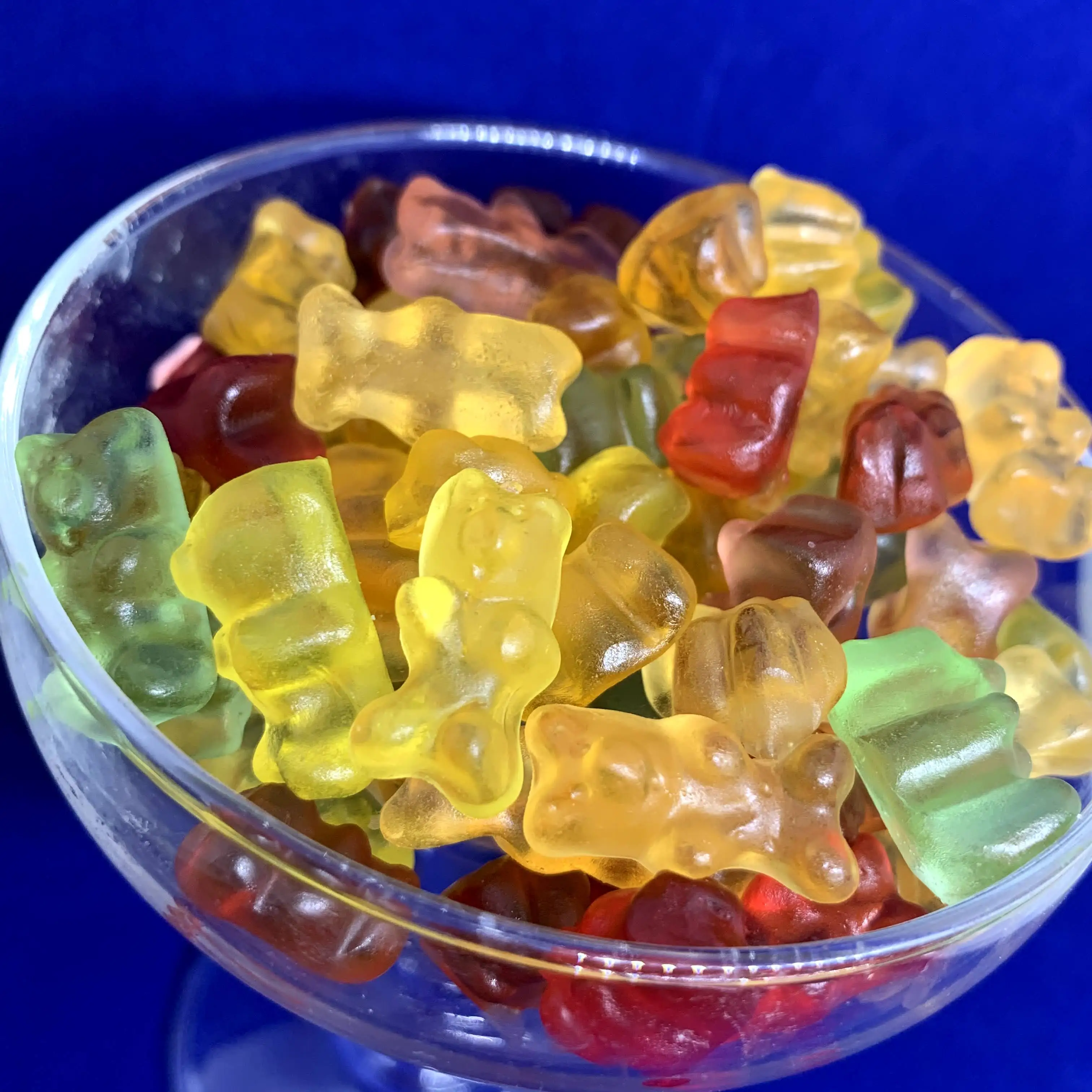 SWEETS CLEAR GUMMY CANDY GRIZZLY BEARS BULK GUMMY