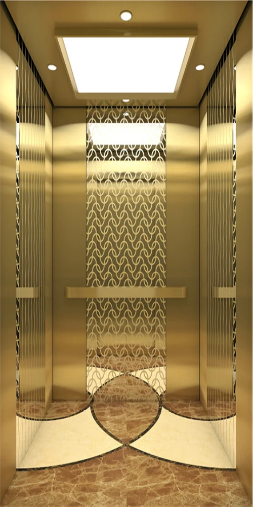 Customized 630KG 800kg 1000kg Passenger Elevator Residential Lift Commercial Building Elevator Ascenseur Pour Personnes