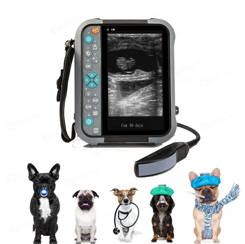 Portable Palm Size Waterproof Veterinary Ultrasound Scanner