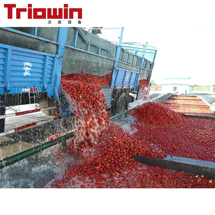 Завод по производству пасты турецких помидоров