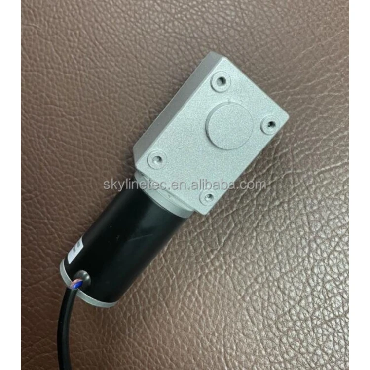 Wholesale High Torque 24v Small Brush DC Micro Worm Gear Motor