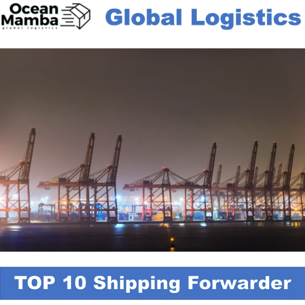 Ocean Mamba Canada Qatar south Africa Poland India shipping agent transporting cheapest international shipping