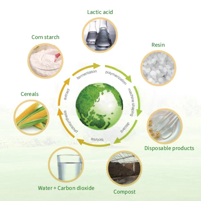 Customizable Various Eco Friendly Materials Product Biodegradable Raw Materials