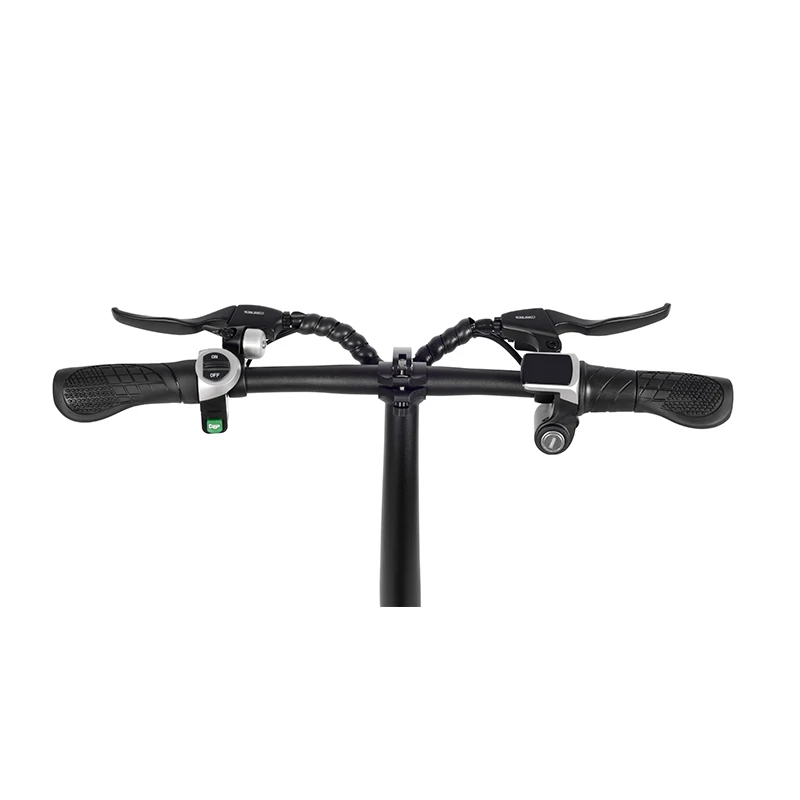 2019 Cheap New Adult EBike Electric Bicycle 36V 48V 350W Foldable