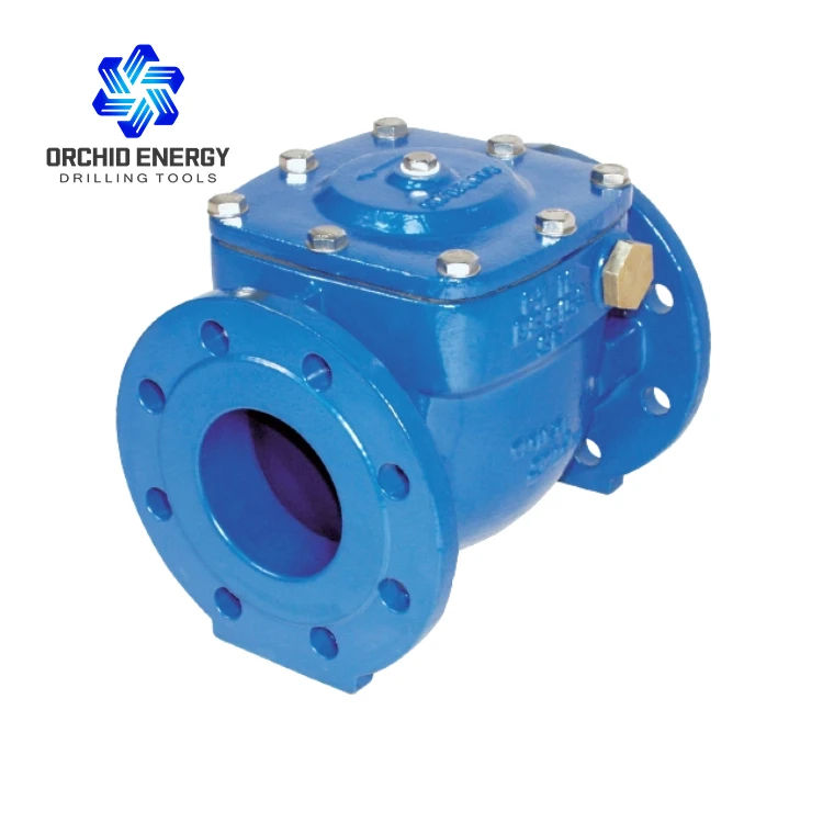 Oil and Gas Wellhead One Way Check Valve with Forging Carbon Steel and API 6A Complied