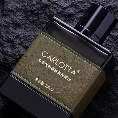 Male Fragrance Luxury Woody Note 100 ml EAU DE TOILETTE premium gift box men  perfume