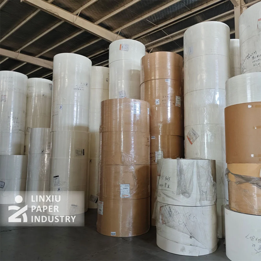 250gsm Single PE Coated Raw Material Paper for Disposable Food Grade Paper Cup /Paper Container/Paper Bowl