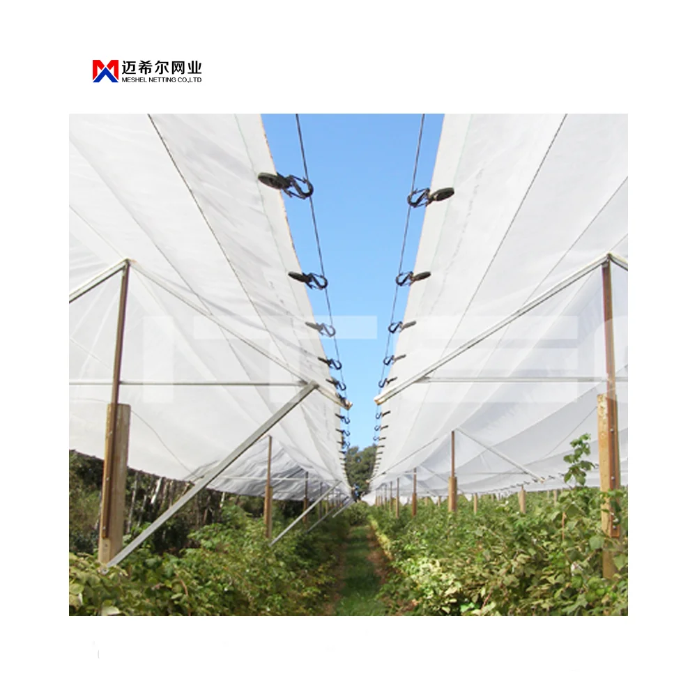 plastic mesh anti-insect netting High quality anti hail net for agricultural 30mesh anti insect net