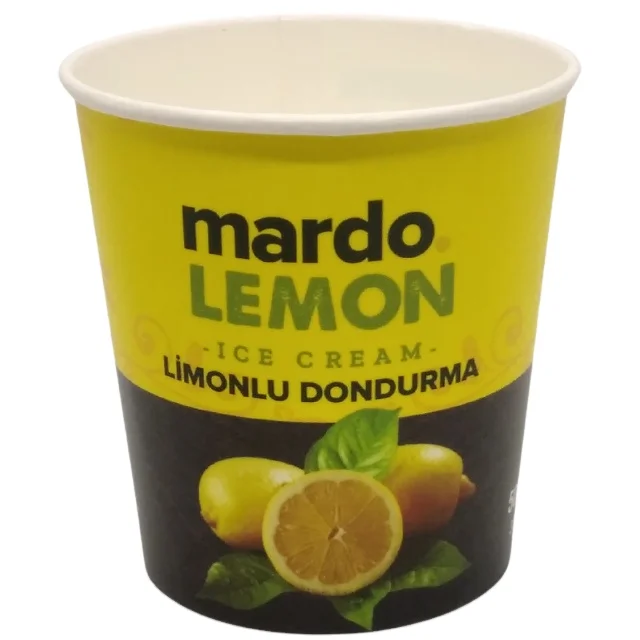 Круглая Бумажная термопечать для мороженого объемом 500 куб. См 16 унций печать логотипа на заказ и пластиковая крышка пищевых продуктов DPAP500