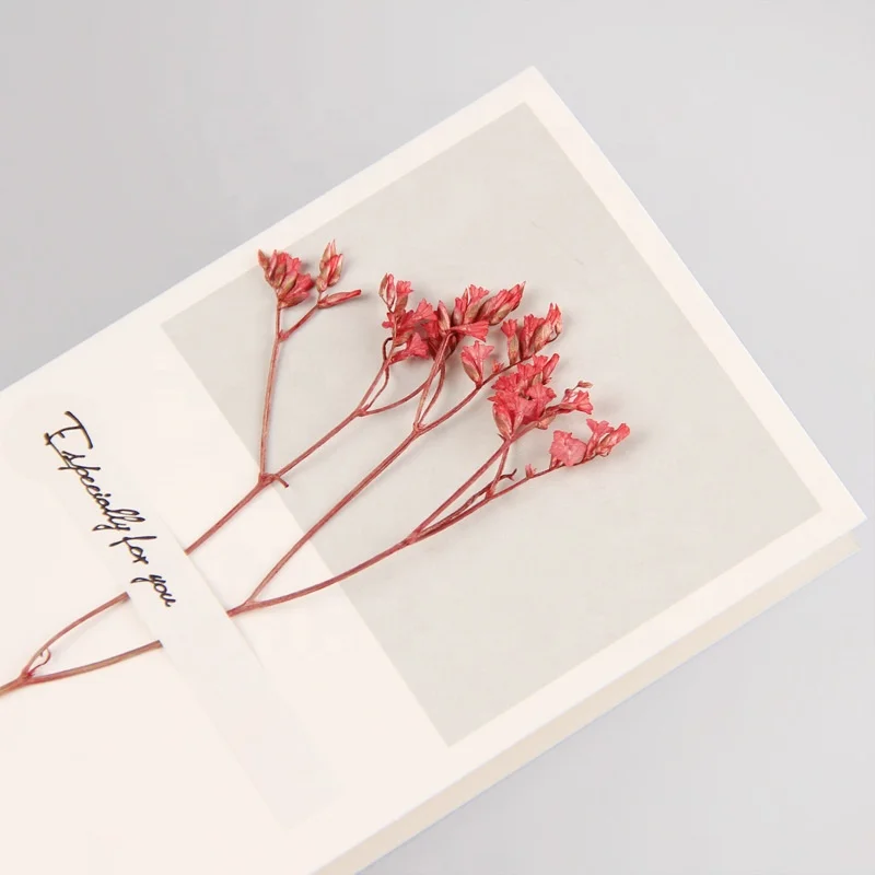 Twofolded Natural Babysbreath Dry Flower Valentine Birthday Wedding Greeting Card with Envelope