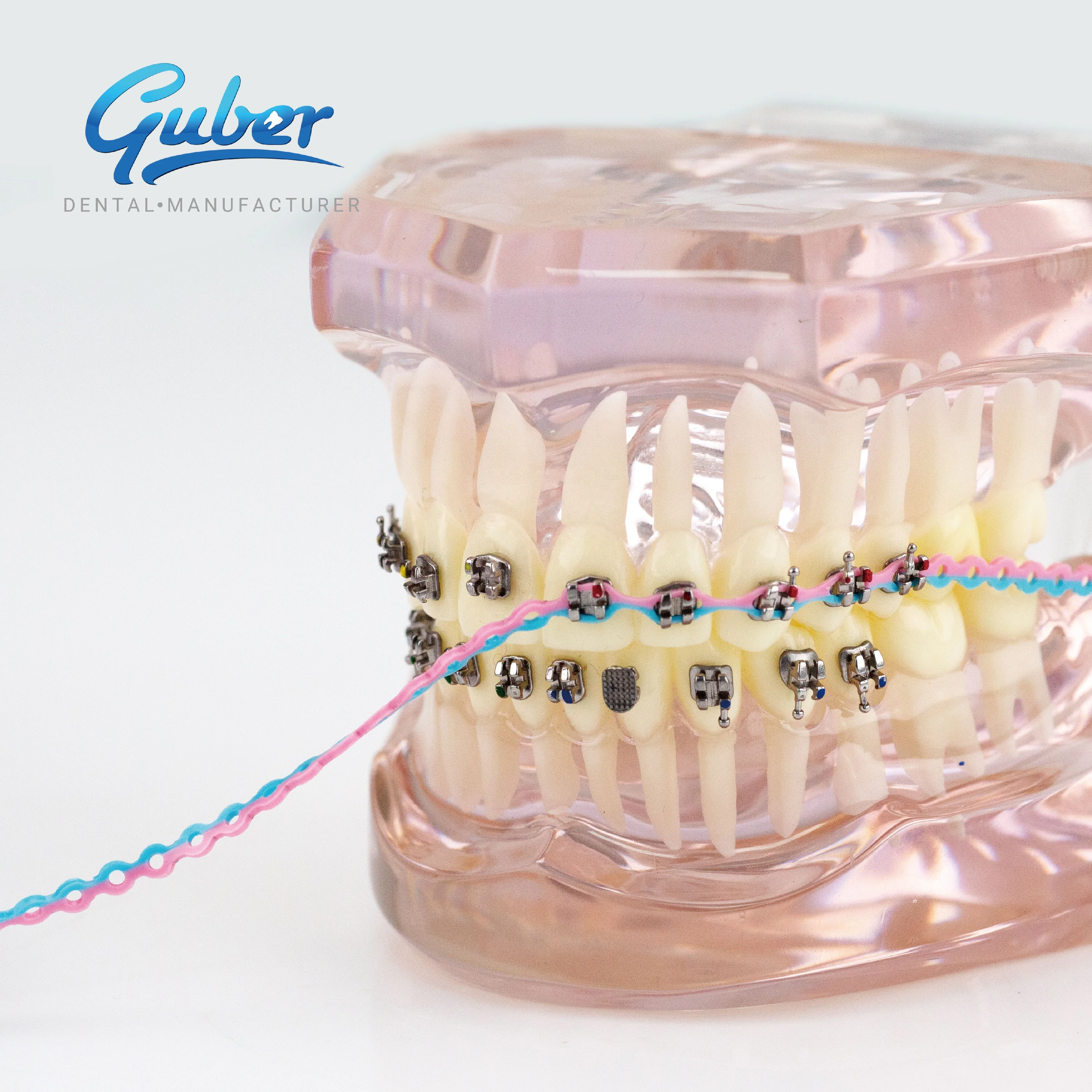 Guber Factory Dental Elastomeric New Two tone Colorful ligature tie rings Orthodontic elastic Power Chain teeth braces 15 feet