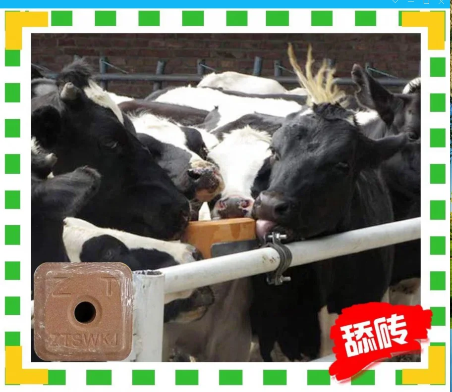 biological deodorant  Reduce ammonia concentration bathroom deodorization