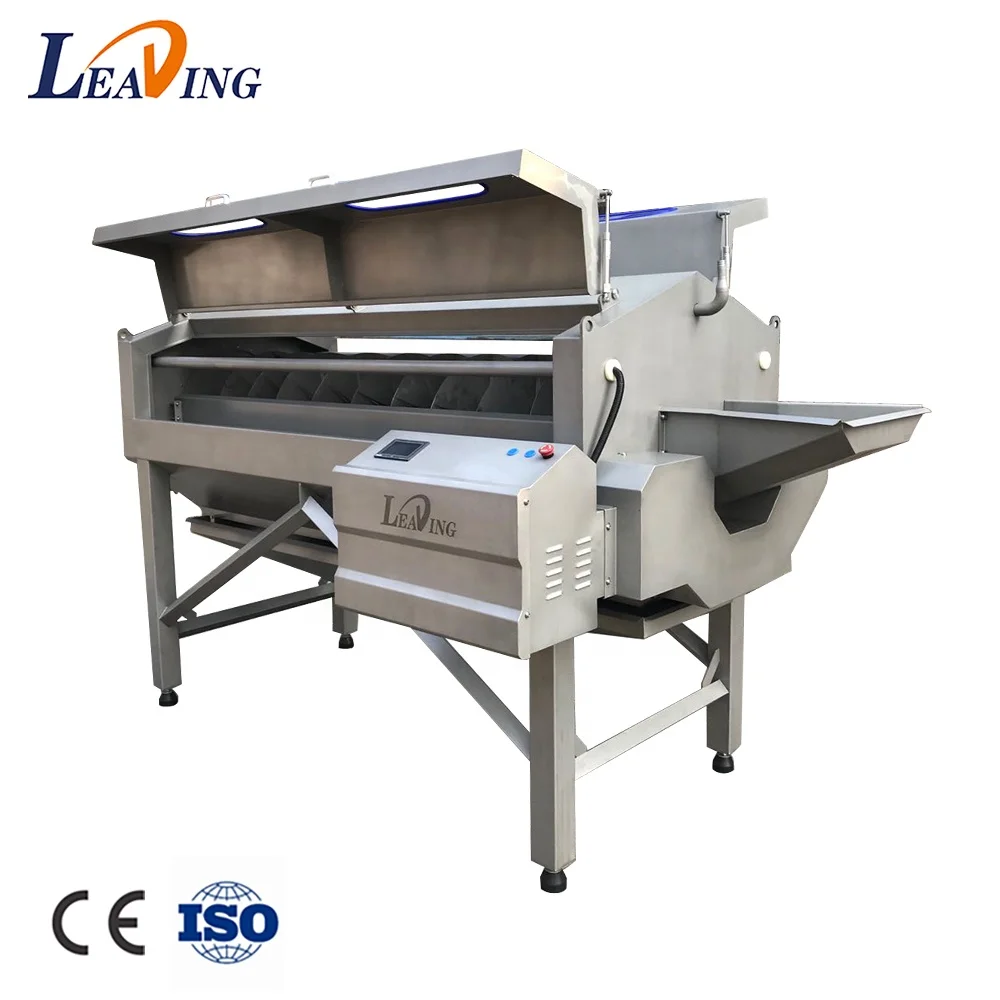 factory supply industrial fruit electric peeler potato carrot washing casava peeling machine