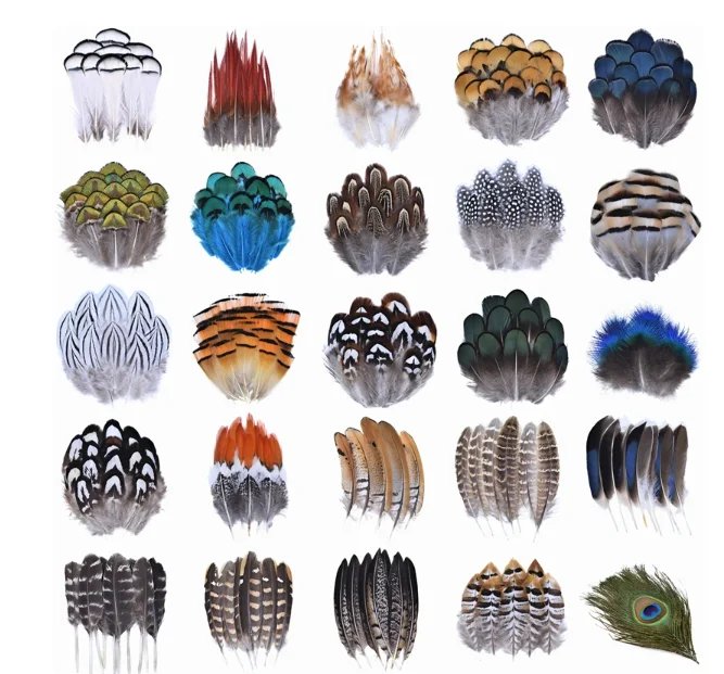 Wholesale Natural Pheasant Feathers Peacock Feather Eagle Small Plume Handicraft Accessories Jewelry Creation Holiday Decoration
