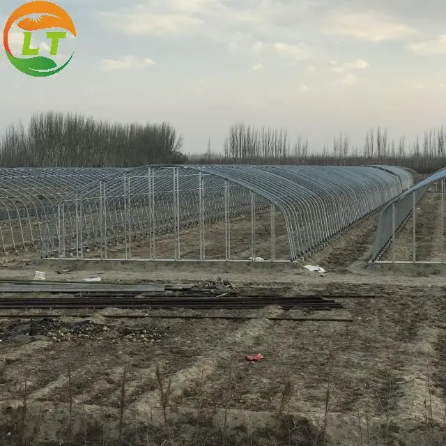 Chinese greenhouse with compression resistant, stainless, can be customized greenhouse frame