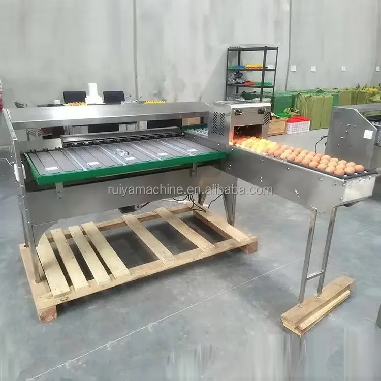 Ruiya 5400pcs/h egg grading machine/egg processing equipment