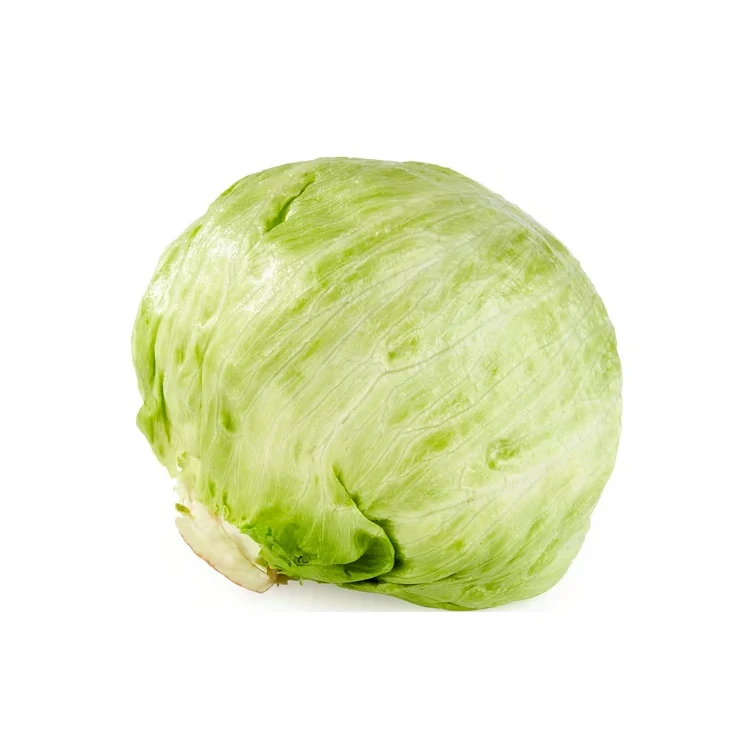 Fresh Iceberg Lettuce, Each