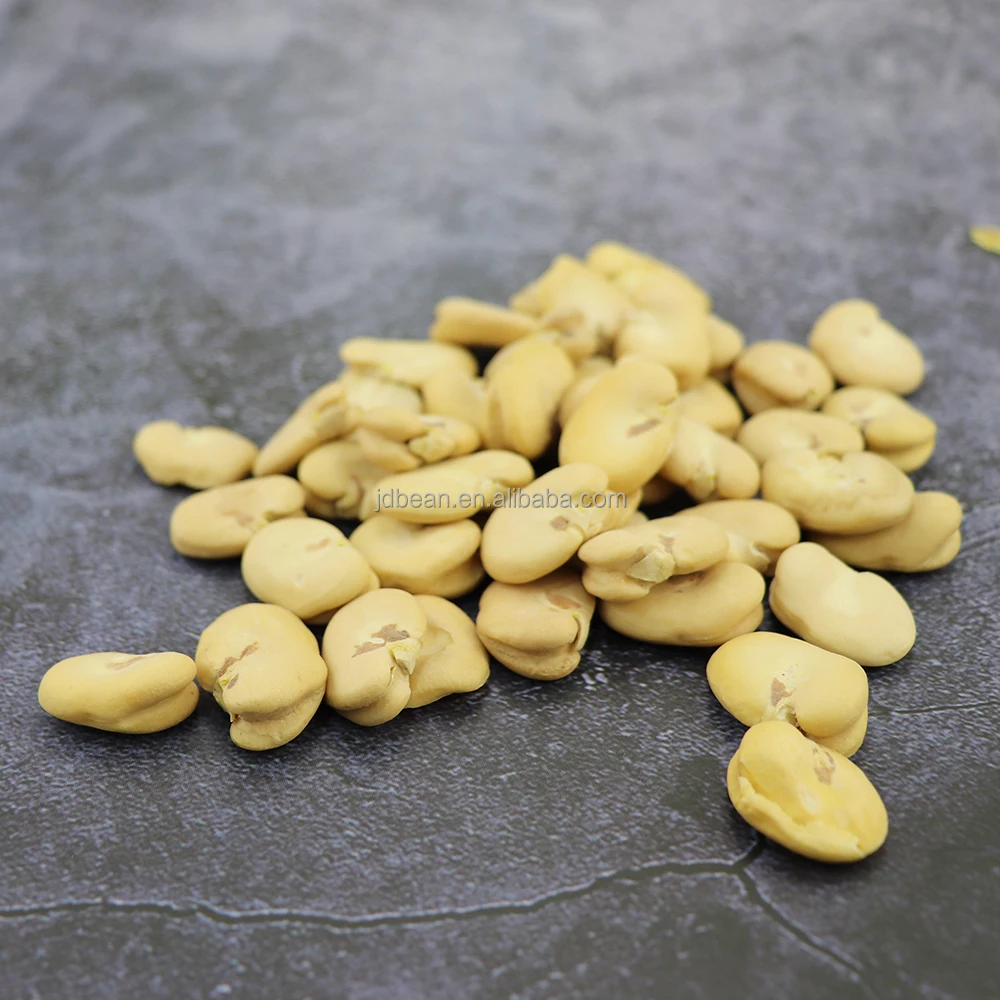 Raw Dried Double Peeled Broad Beans Fava Beans Price