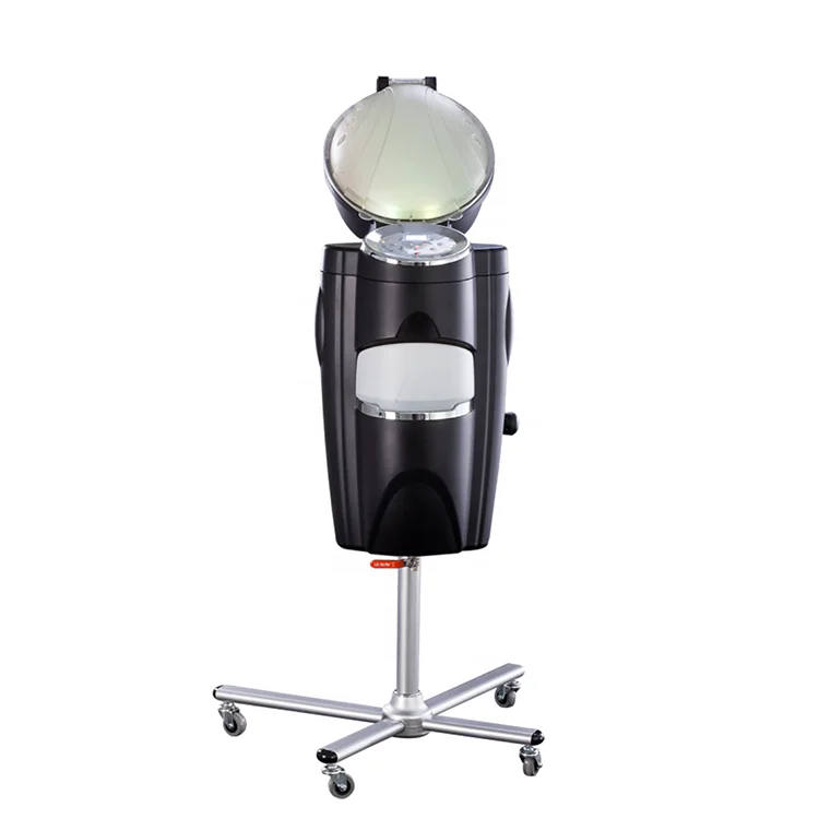 Most demanded products TB-007R2 secondary spray microwave hair spray facial steamer