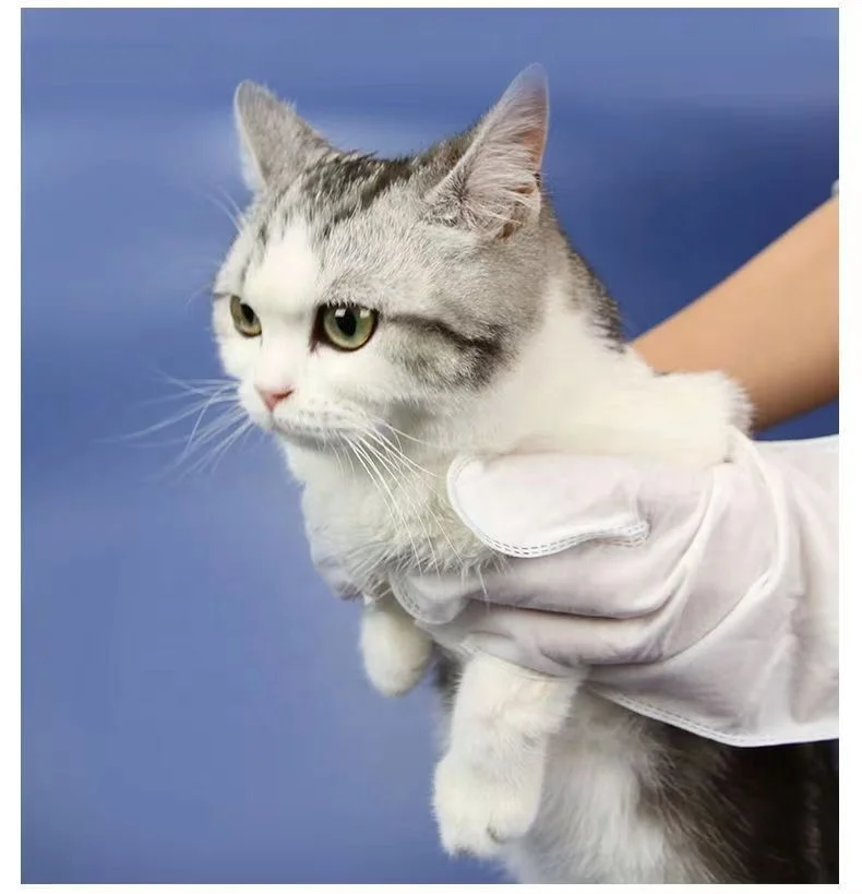 5 pcs pet disposable nonwoven gloves wipes cleaning deodorizing dry cleaning wet towels