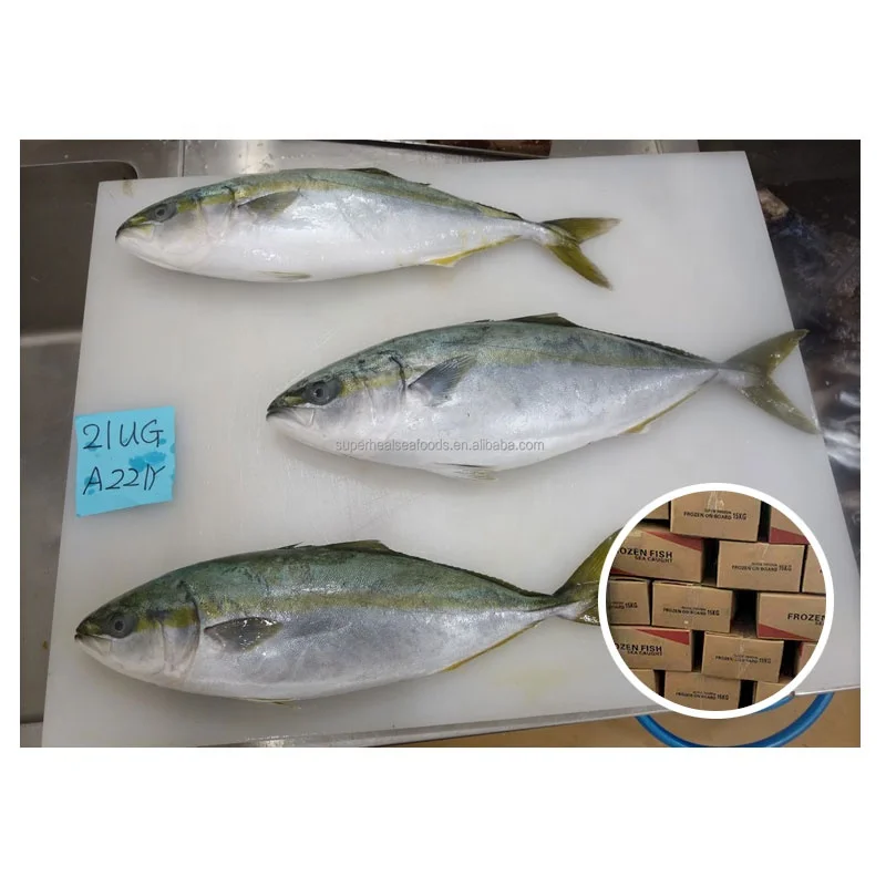 Цельная круглая рыба с желтым хвостом по низкой цене