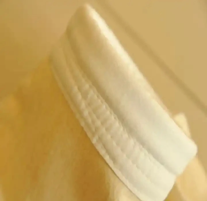 bag filter for dust collector with competitive price